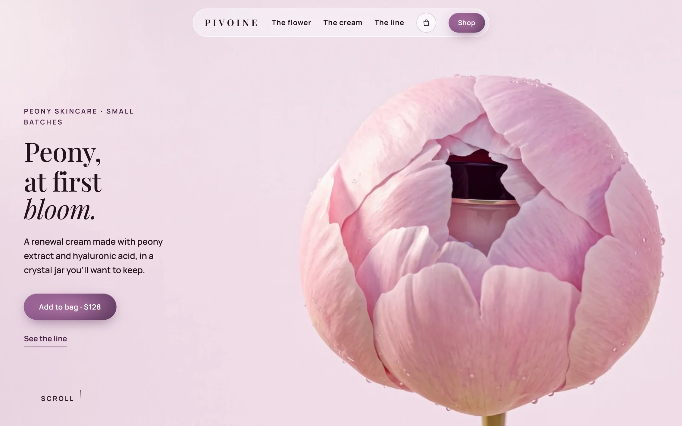 Pivoine, a crystal cream jar with a plum lacquer cap inside an opening pink peony